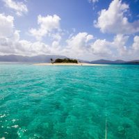 BVI5